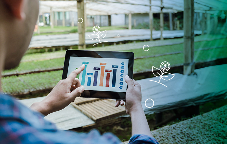Análisis Patrimonial para Empresas Agropecuarias